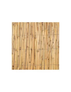 Canisse En Roseau Fendu 1 X 5 Mètres - JANY -Fournitures De Jardin canisse en roseau fendu 1 x 5 metres jany 2