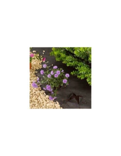 Toile De Paillage 1m X 15 M -Fournitures De Jardin toile de paillage 1m x 15 m 2