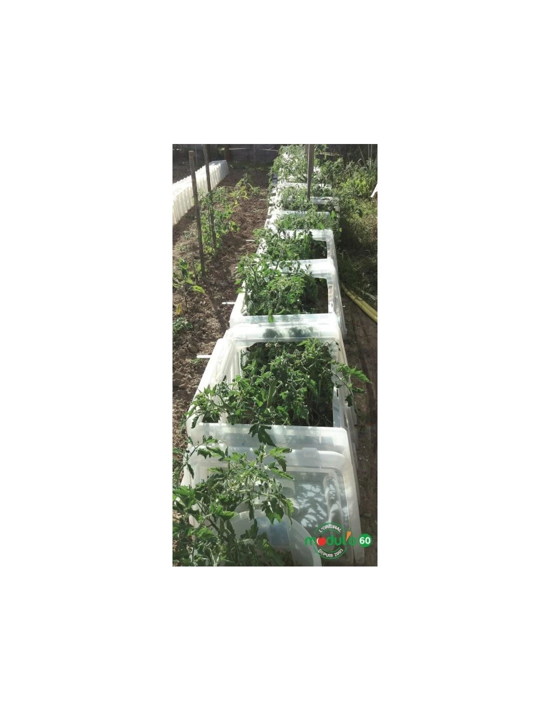 Tunnel De Forçage Modul'o 60 2 Tunnel De Forçage Modul'o 60 – Image 2