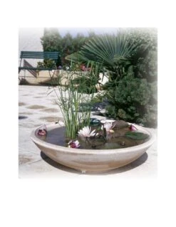 Fournitures De Jardin -Fournitures De Jardin vasque aquatique anthracite taille au choix 3